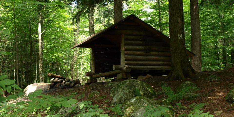 The Adirondack lean-to at Catlin Bay sits in a shady summer forest.
