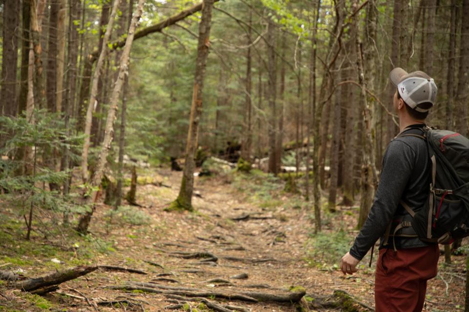A man hiking through an Adirondack forest.