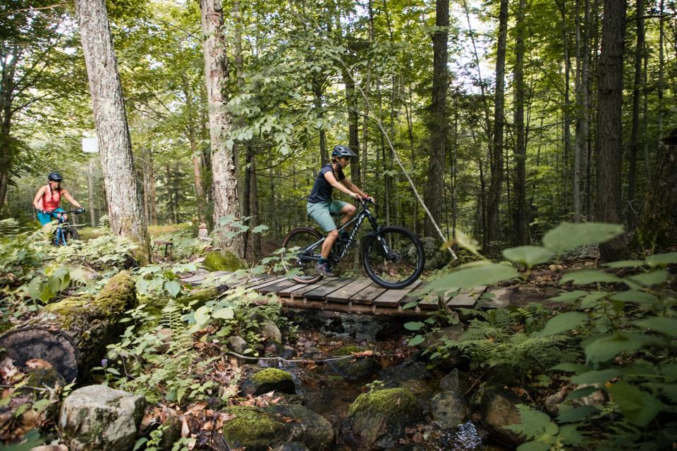 Two women on mountain bikes cross a small wood bridge in a lush forest.