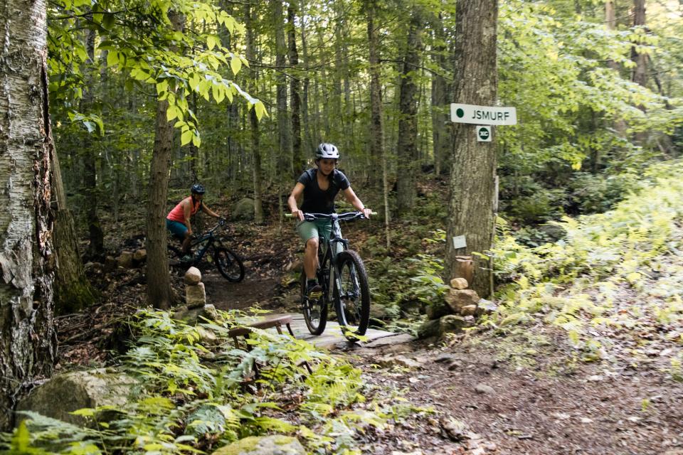 Two women on mountain bikes riding past a trail sign on a tree in a bright forest.