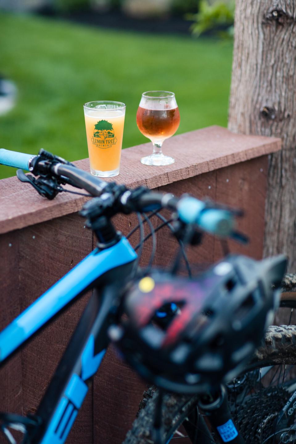 Two glasses of beer rest on a wooden wall as a mountain bike leans against it.