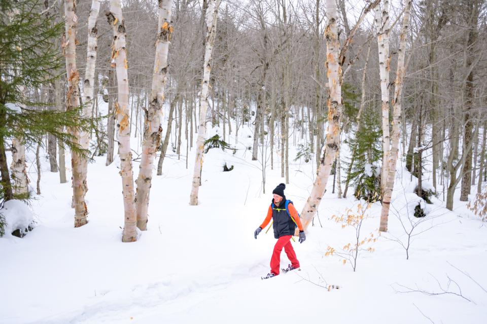 A woman in brightly colored clothes snowshoes through a snowy forest.