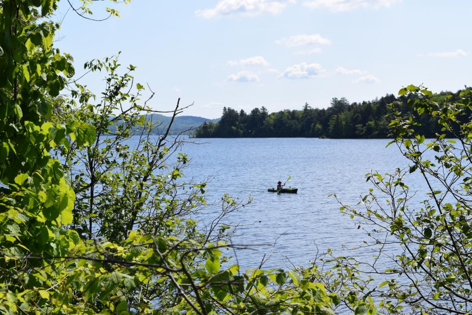 A solo paddler on a body of water surrounded by tree-lined shore.