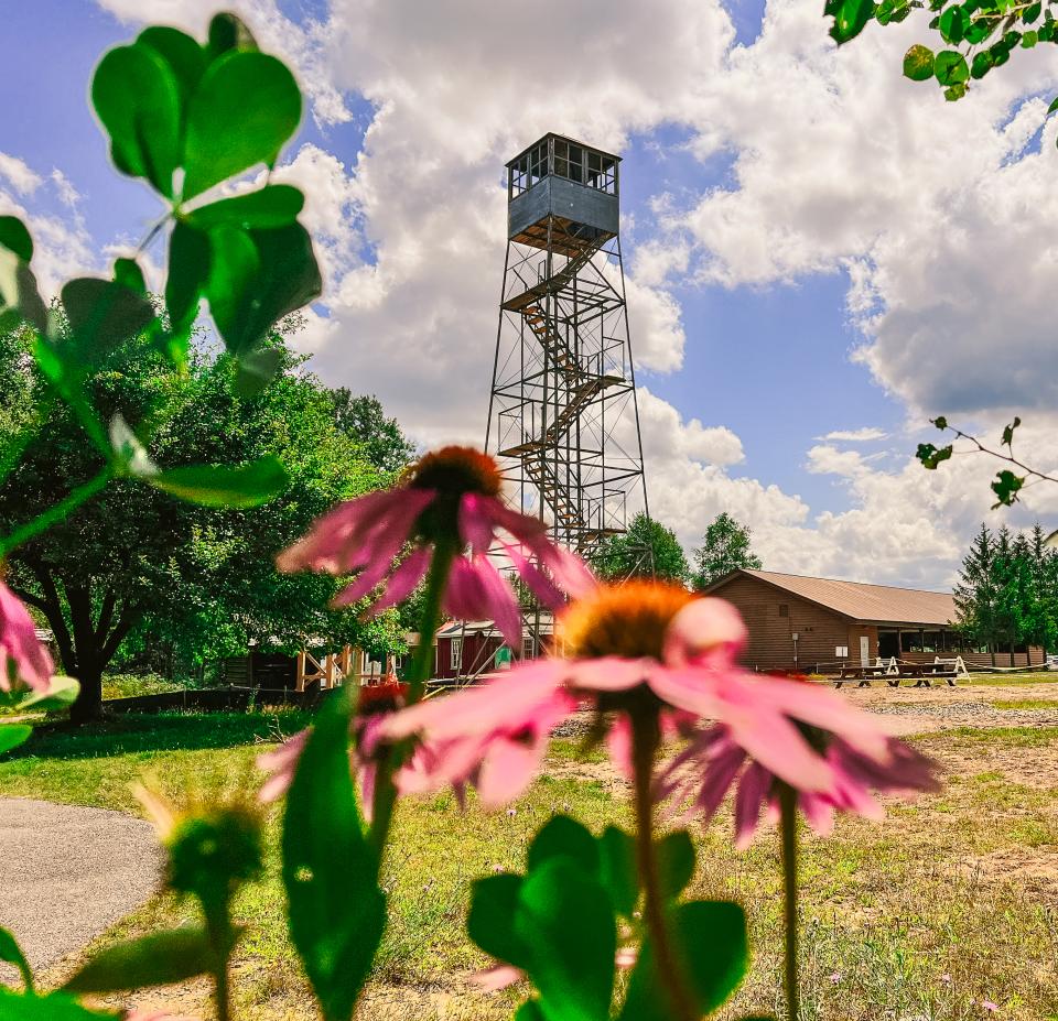Flowers and greenery in the foreground, with a fire tower and trees in the background.
