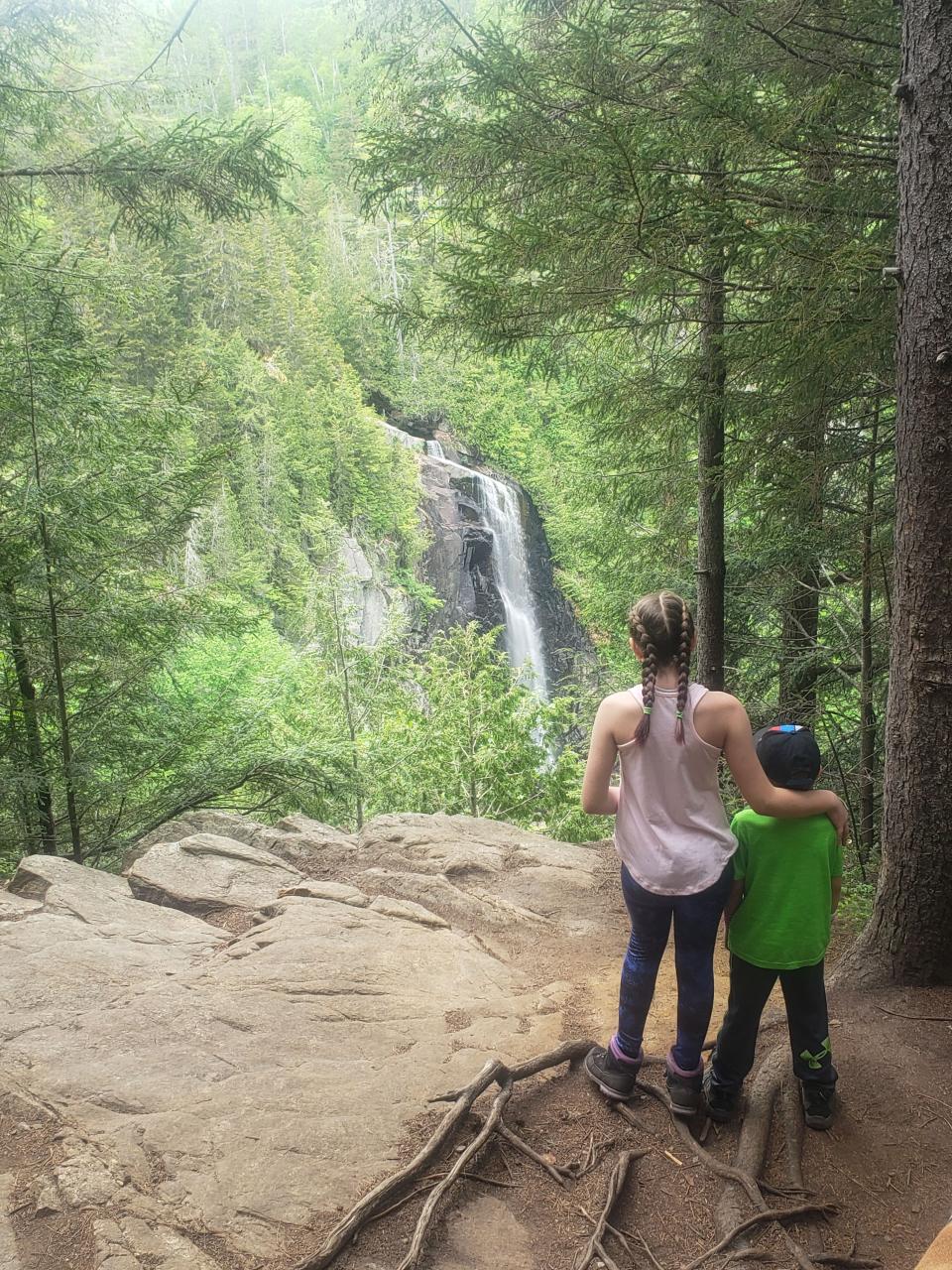 Two children looking at a waterfall from the top of a treed cliff