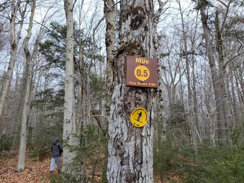 A brown and yellow NY trail marker attached to a tree on a wooded trail.