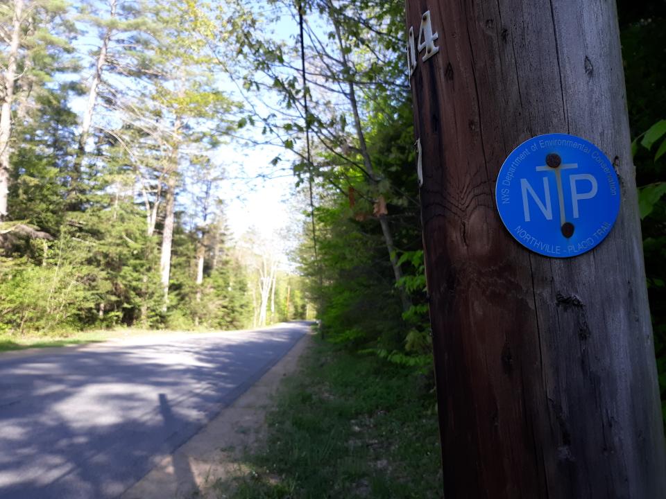 A blue and white disc trail marker nailed to a telephone pole. A quiet, undeveloped forest lines the road next to the marker.