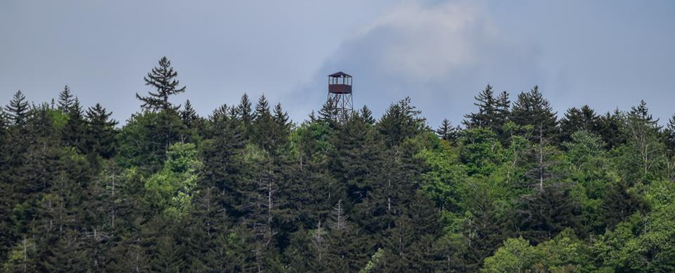 A rusted fire tower cab pokes above the trees.