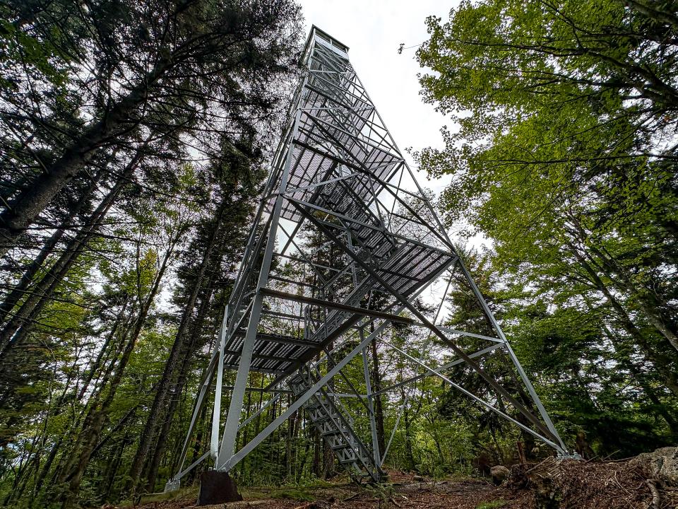 The restored metal fire tower on Buck Mountain surrounded by tall trees with leaves