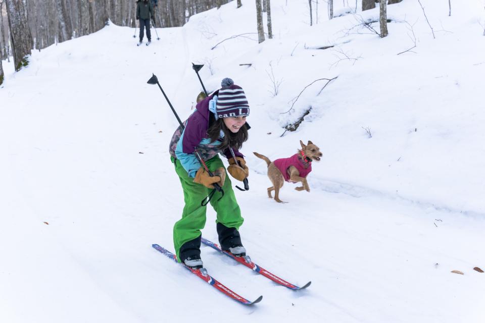 A child cross-country skis, accompanied by a small dog