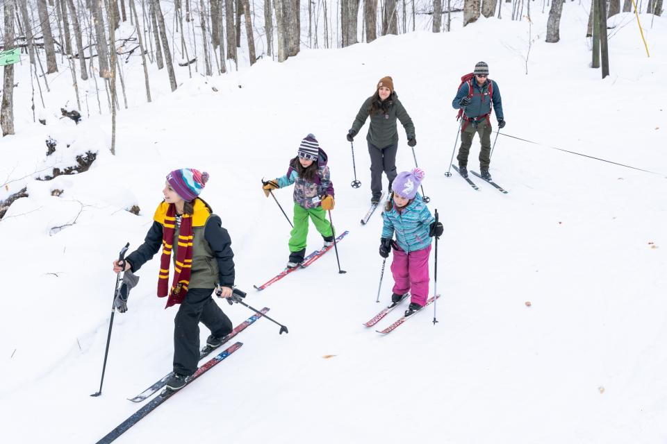 A family of two adults and three children cross-country ski in a snowy forest.