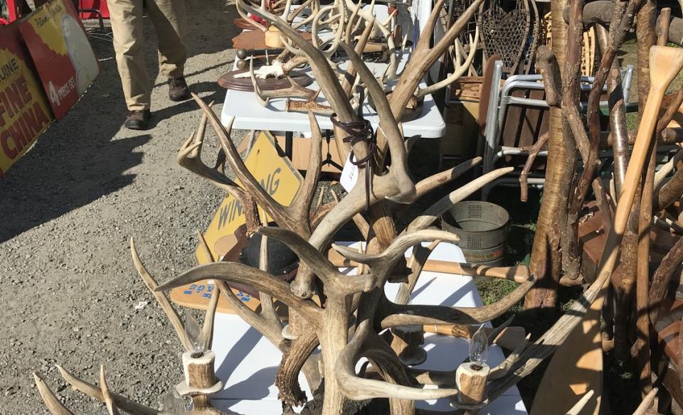Table of antlers and old paddles for the antique show and sale