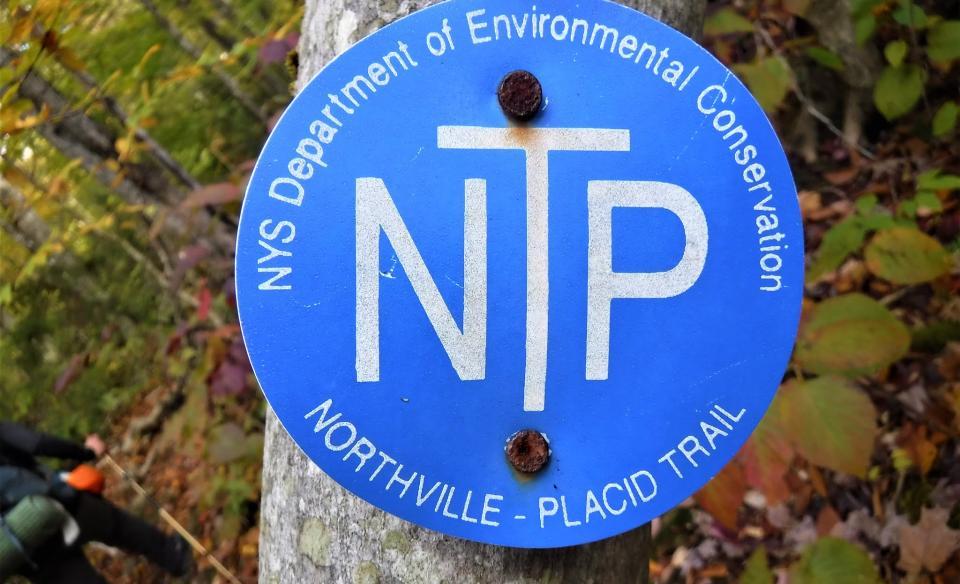 Blue trail marker with white lettering for the Northville-Placid Trail that is nailed to a tree