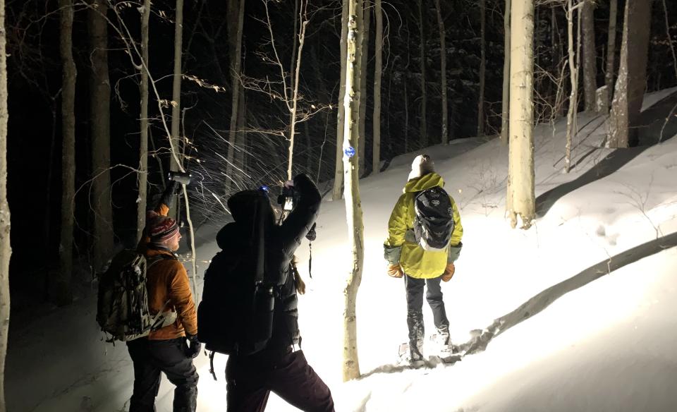 Headlamps are a must in winter, since darkness falls early.