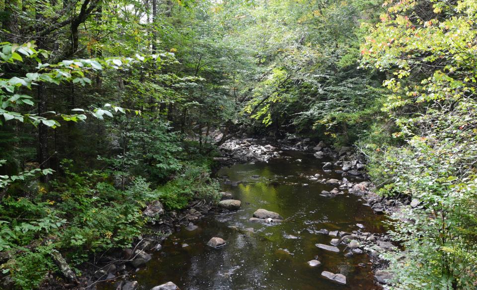 Sumner Stream is in a fine brook trout area.