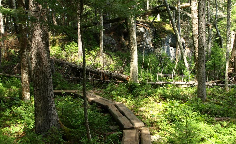 These boardwalks keep the trail from eroding too much.