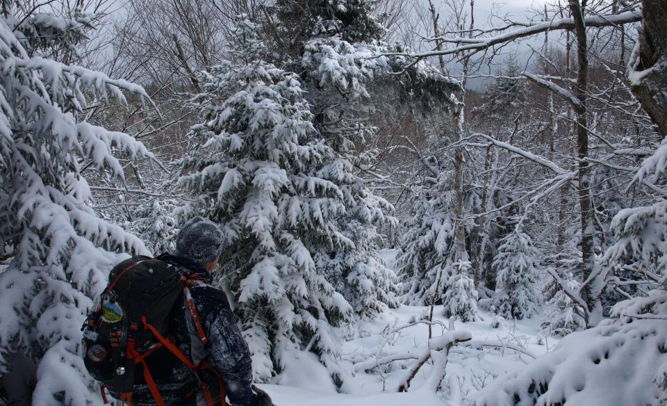 A great destination for an easy snowshoe summit.