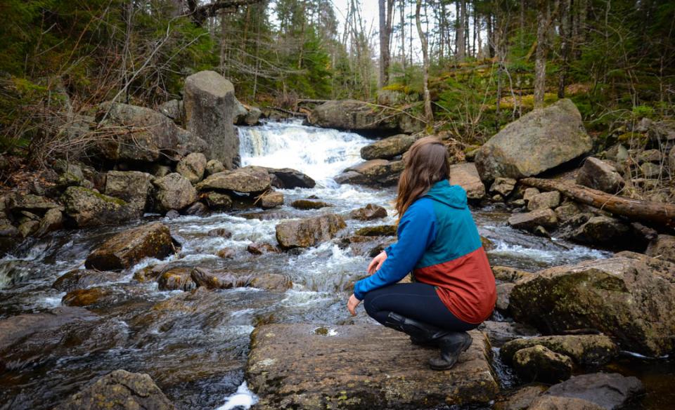 The liveliness of the water depends on the season at this Adirondack waterfall.