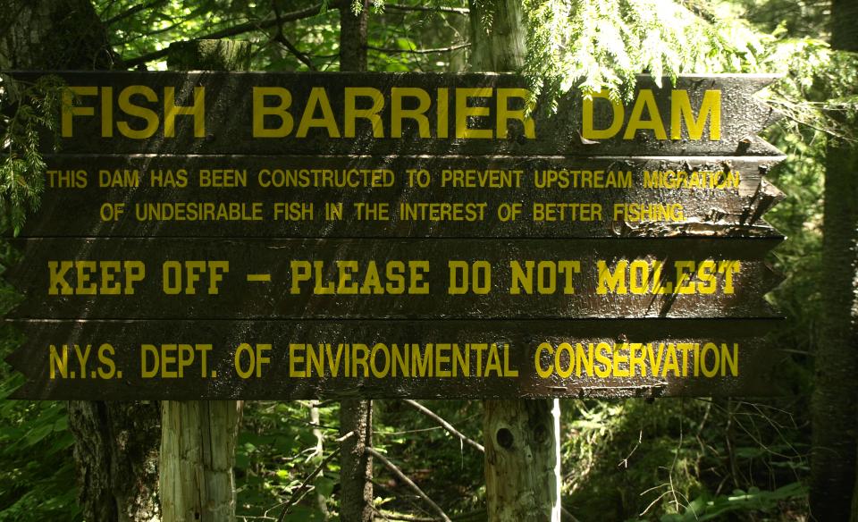 This is the sign for the fish barrier dam.