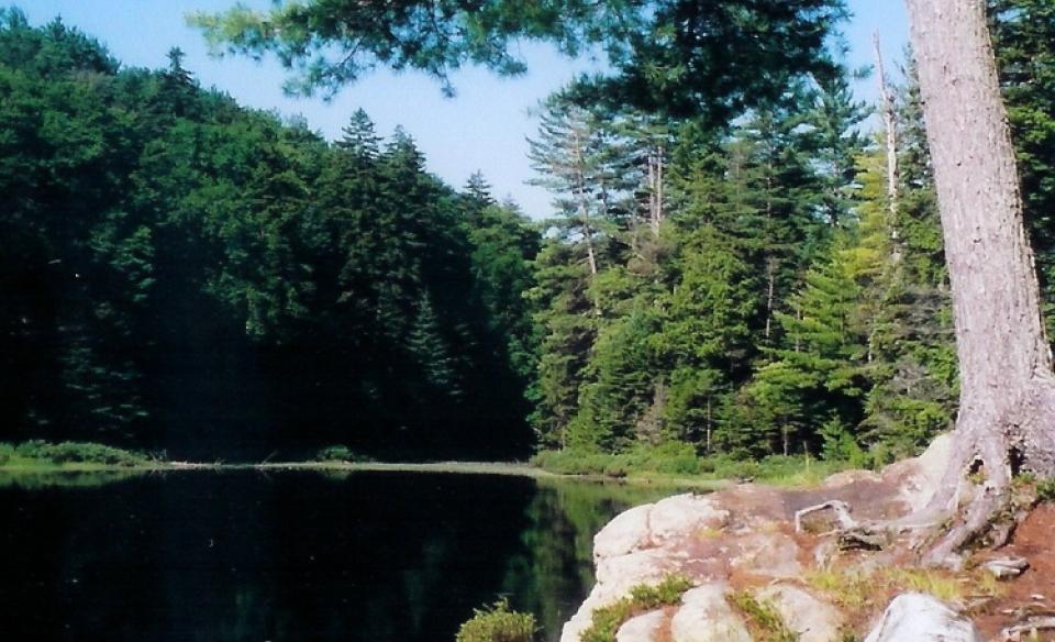 A gem of a backcountry pond for fishing and camping in the lean-to.