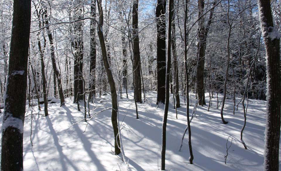 Winter brings fresh perspectives on a ski or snowshoe along this trail.