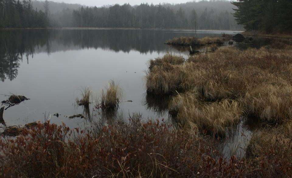 Mud Pond is a fine hike and offers shoreline fishing for brook trout.