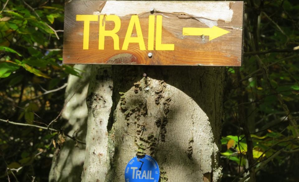 A wooden trail sign pointing right.
