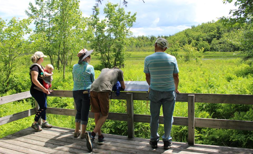 A group of people at a deck with interpretive signage on a trail