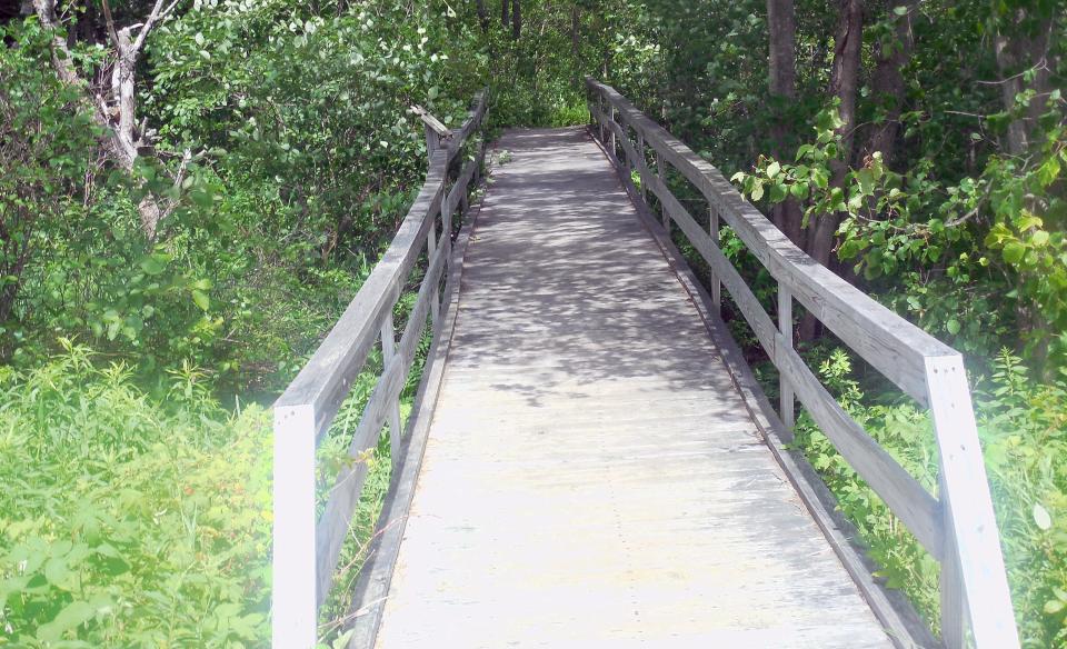 The boardwalk is a wonderful way to view the wetlands.