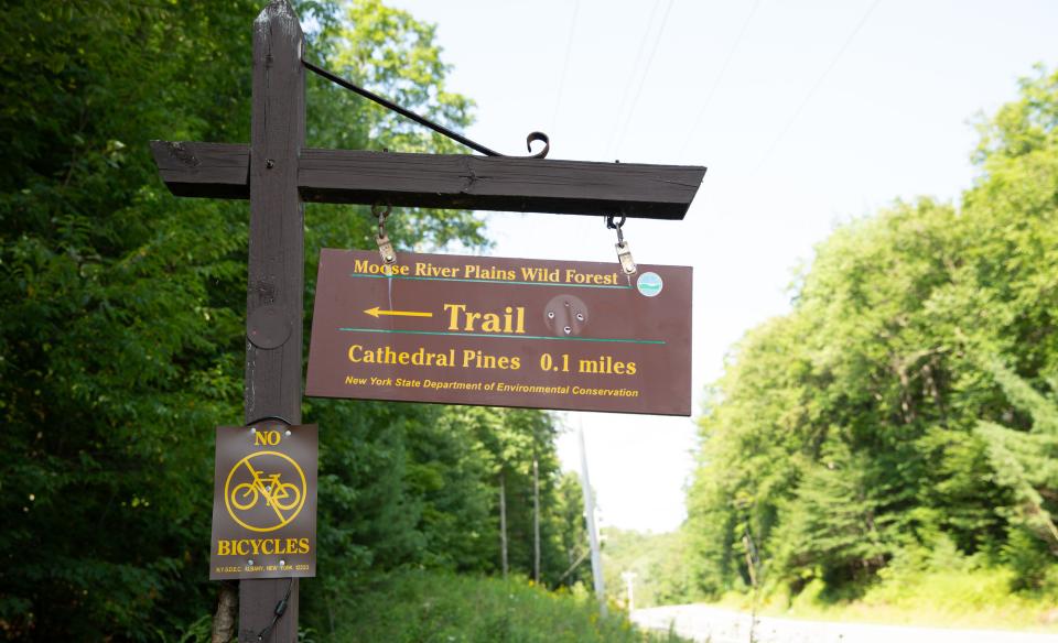 Trail sign for Cathedral Pines